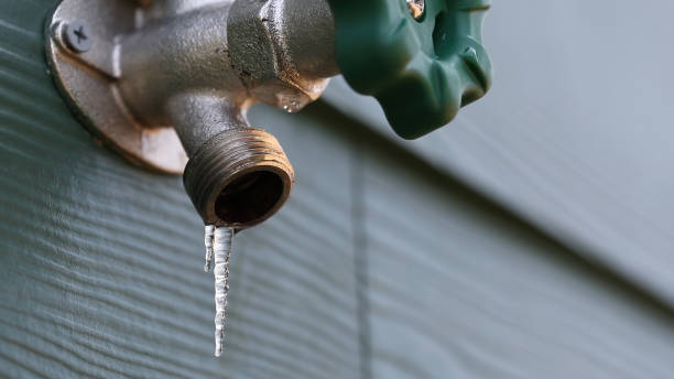 Best Hot Water Heater Installation  in Escobares, TX